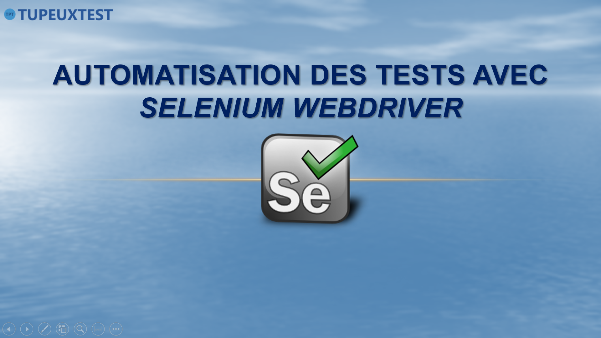 8.4 Automatisation des tests avec Selenium WebDriver (automatisation des tests)